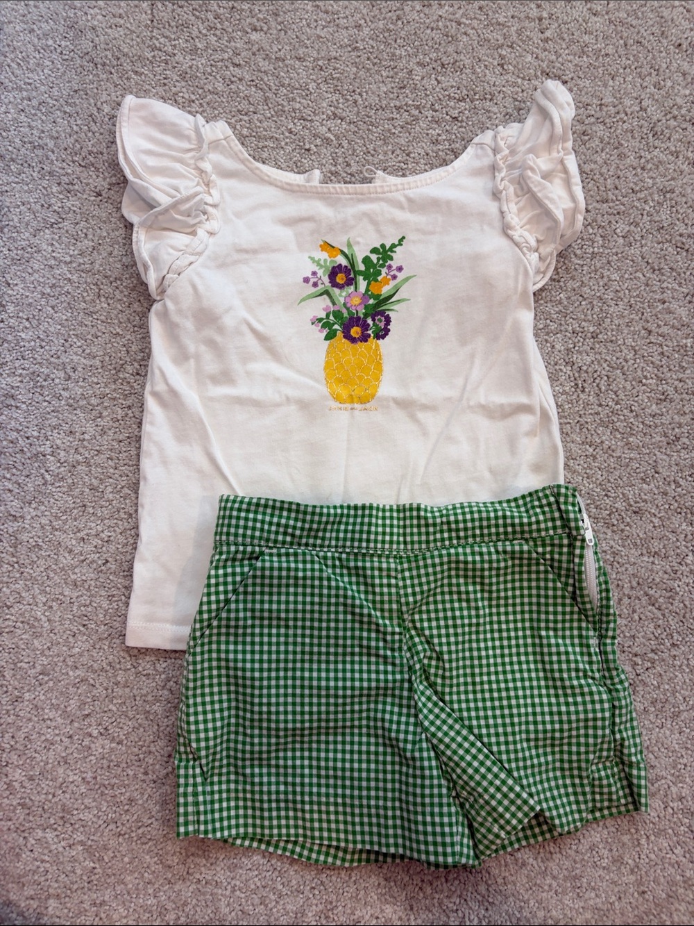 Janie and Jack White Top with Yellow Pineapple Embroidery & Green Gingham Shorts